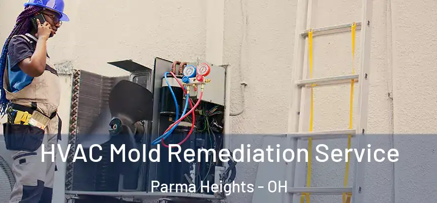 HVAC Mold Remediation Service Parma Heights - OH