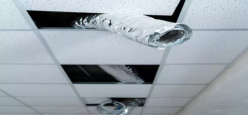 Our Air Duct Pet Hair Removal Services in Parma Heights, OH