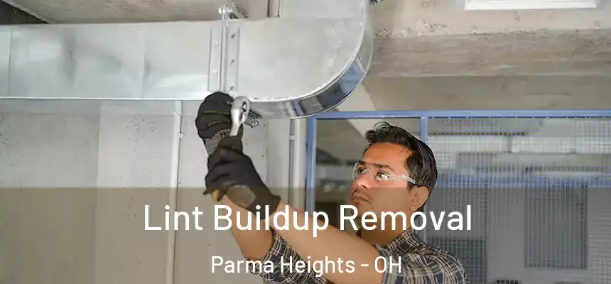 Lint Buildup Removal Parma Heights - OH