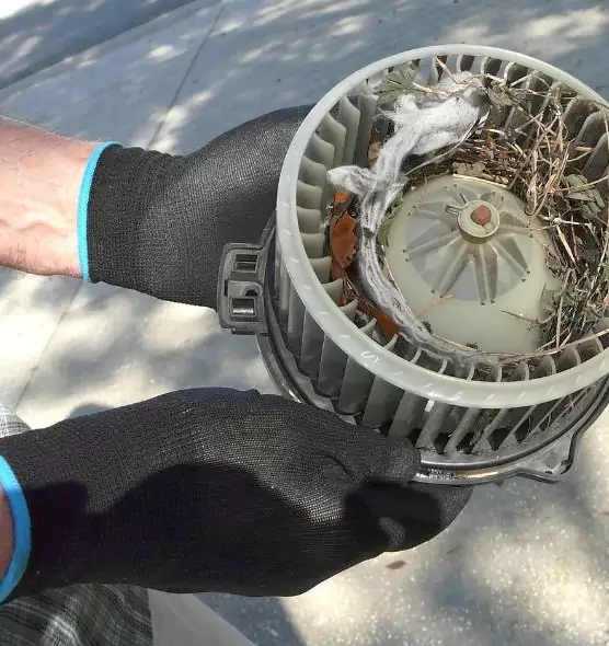 About Air Duct Mice Removal in Parma Heights, OH