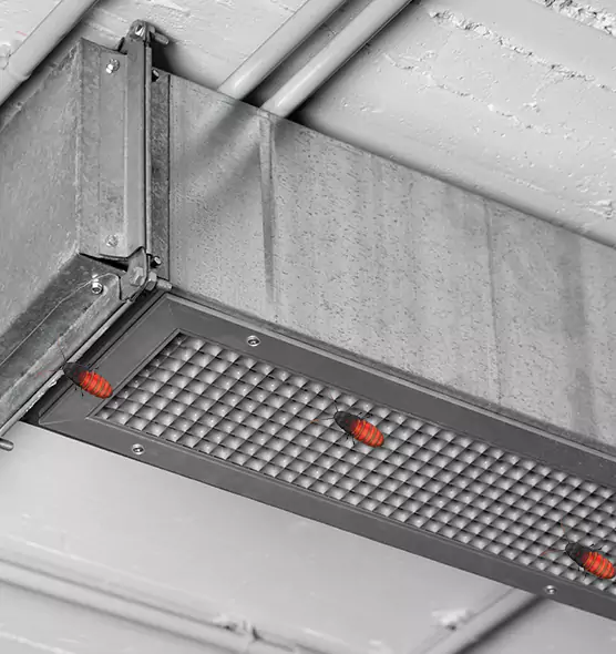 Affordable Insect Removal from Air Ducts in Parma Heights, OH
