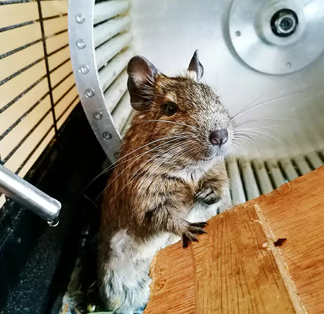 Why Homeowners & Businesses Trust Us Parma Heights, OH