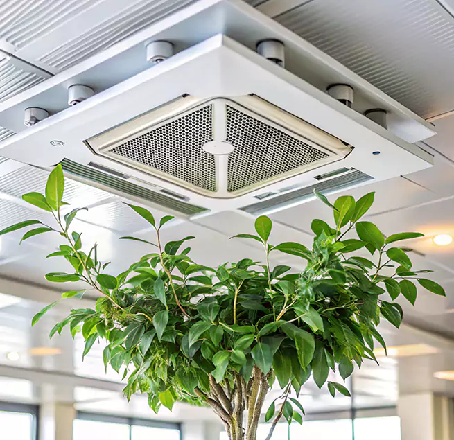 Why Homeowners & Businesses Trust Us in Parma Heights, OH